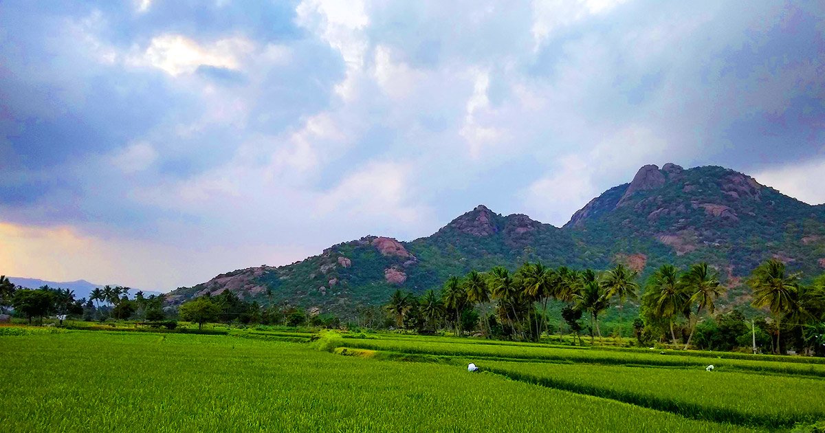 kallakkurichi drop taxi