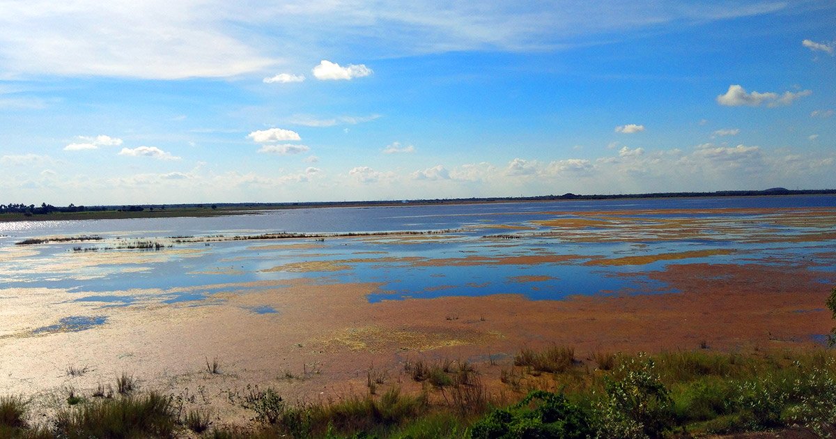 madurantakam drop taxi