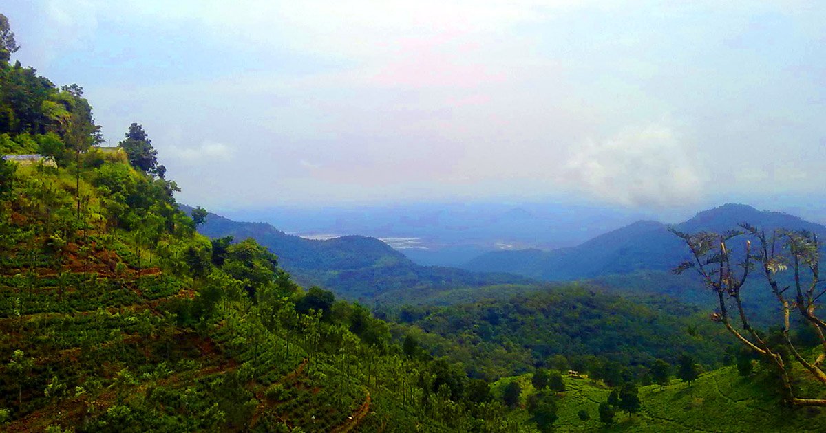 mettupalayam drop taxi